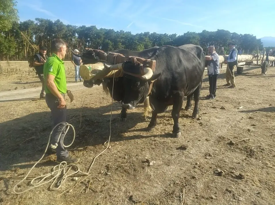 RUTA CARRETERIL 2922 (1)