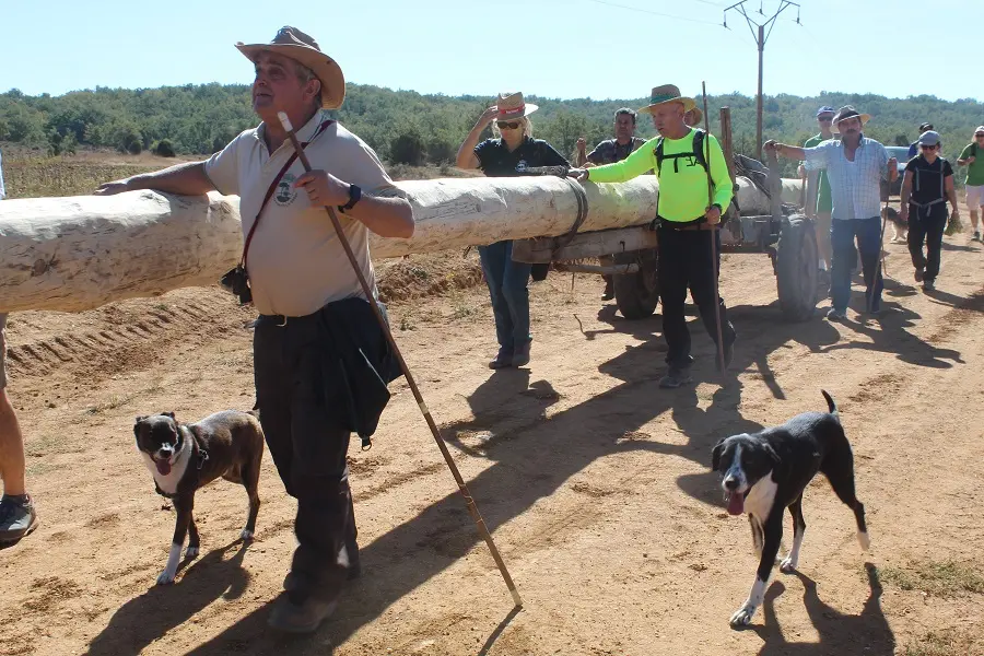 RUTA CARRETERIL 2922 (2)