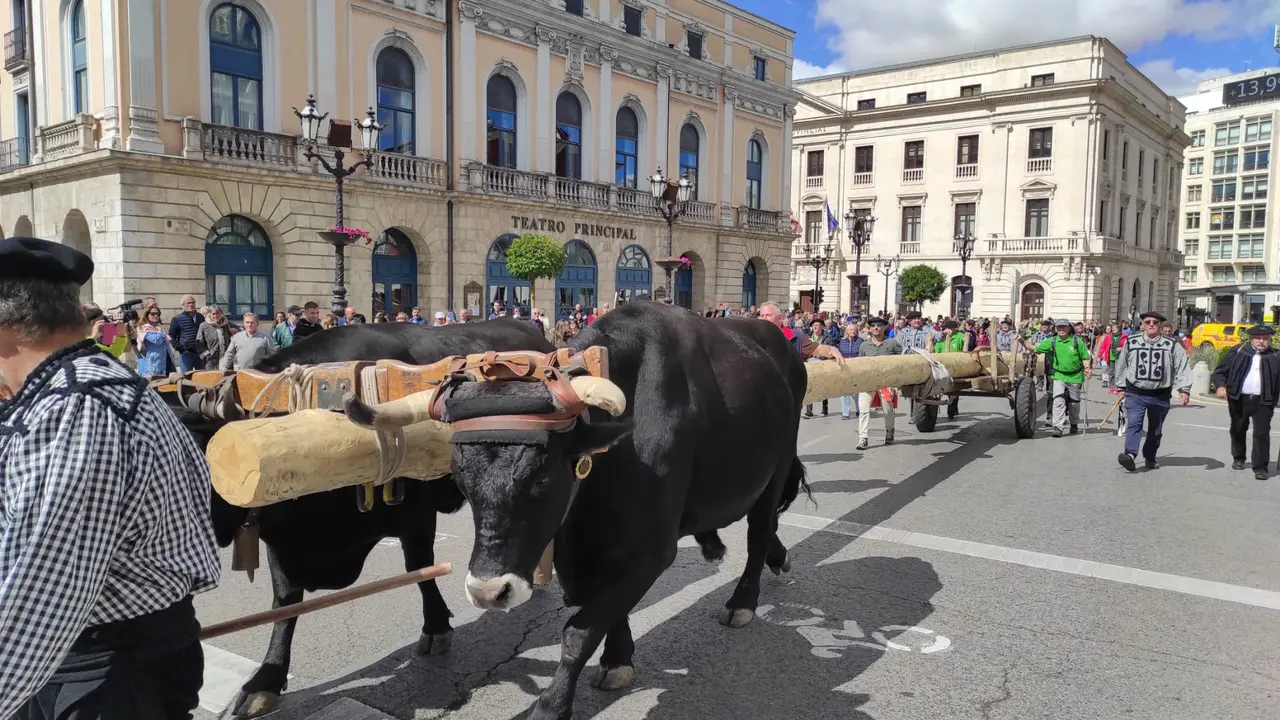 RUTA CARRETERIL 2922 (4)