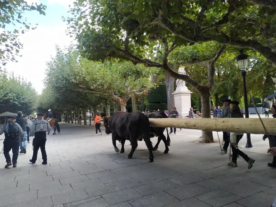 RUTA CARRETERIL 2922 (6)