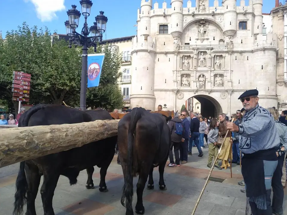 RUTA CARRETERIL 2922 (7)