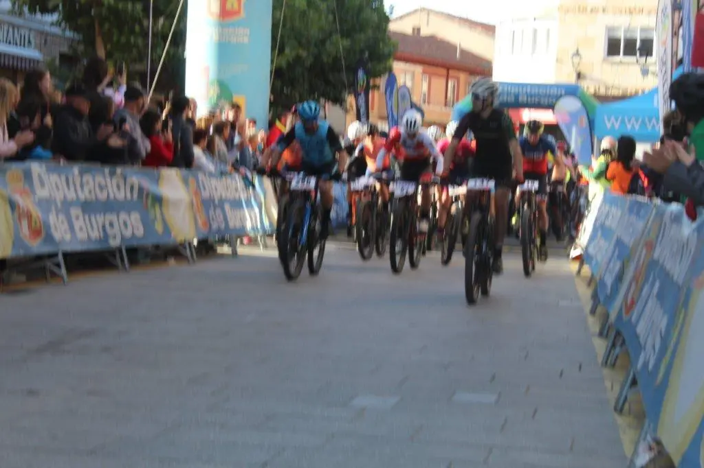 DEMANDASAURUS 2022 (27)