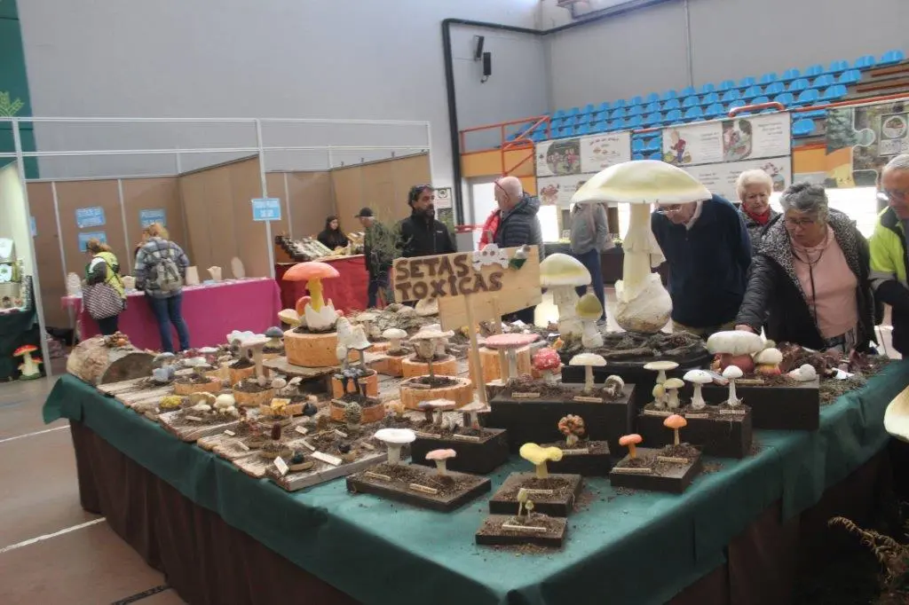 Micologica en San Leonardo (2)