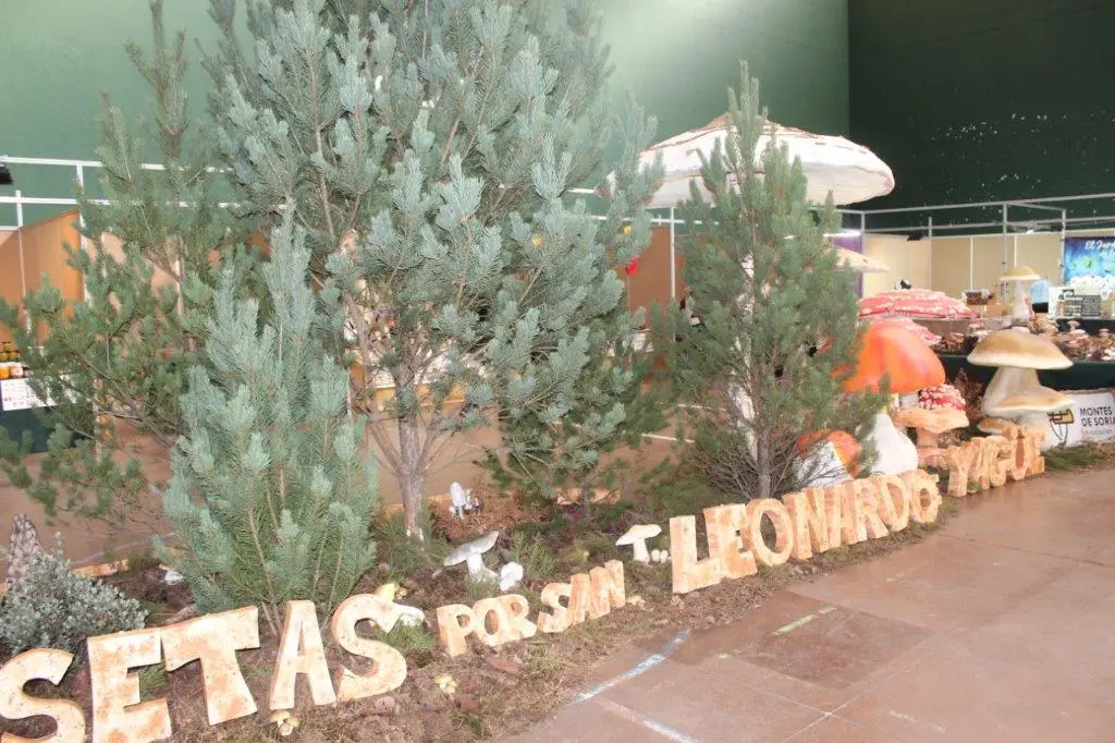 Micologica en San Leonardo (1)