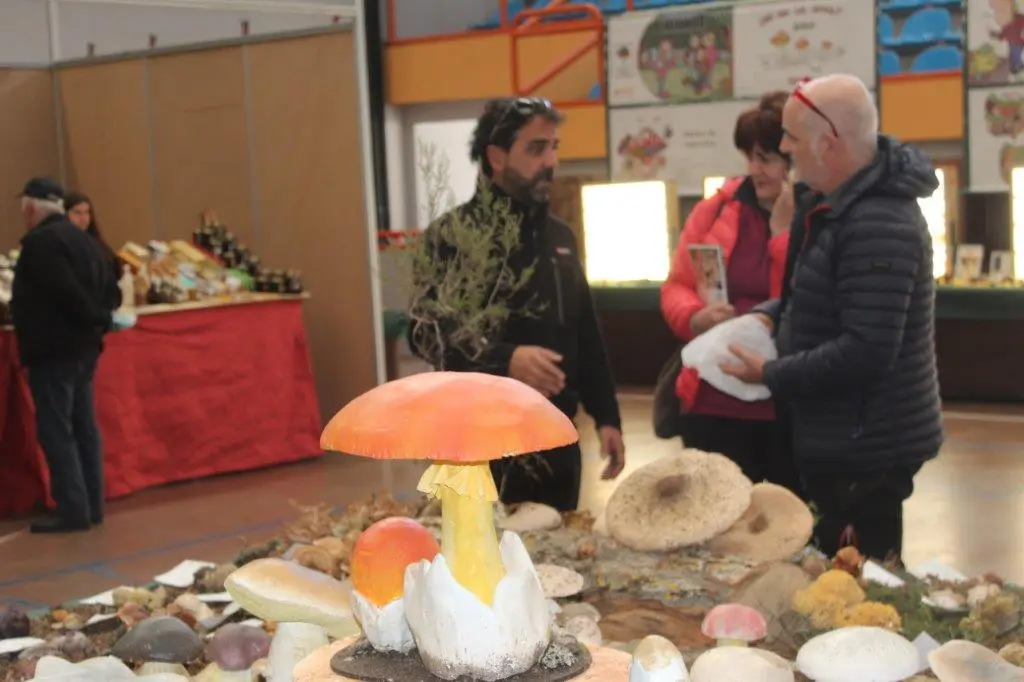 Micologica en San Leonardo (4)
