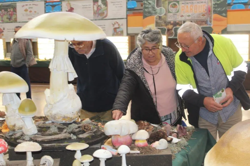 Micologica en San Leonardo (3)