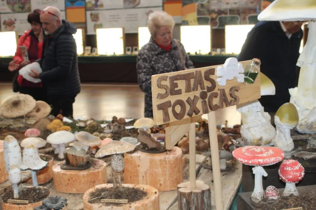 Micologica en San Leonardo (5)