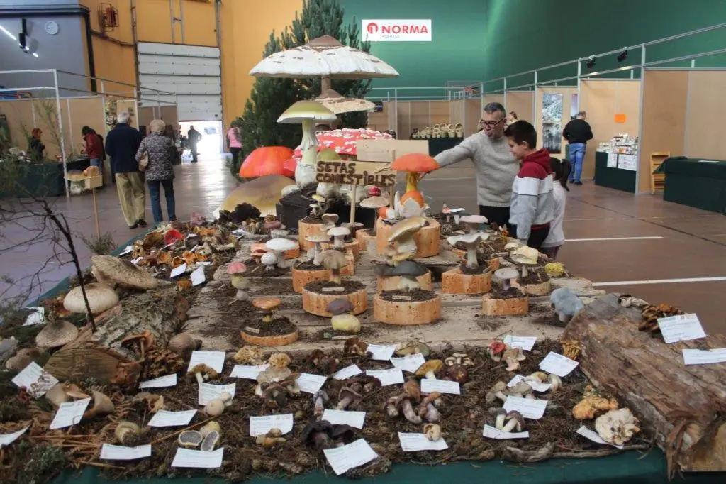 Micologica en San Leonardo (6)