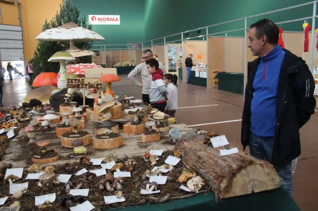 Micologica en San Leonardo (7)