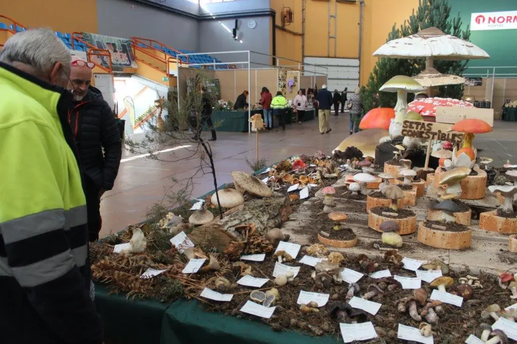 Micologica en San Leonardo (9)