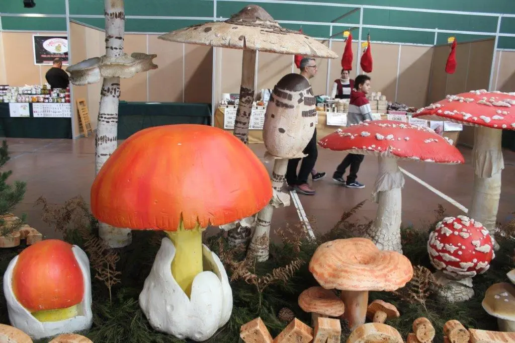 Micologica en San Leonardo (12)