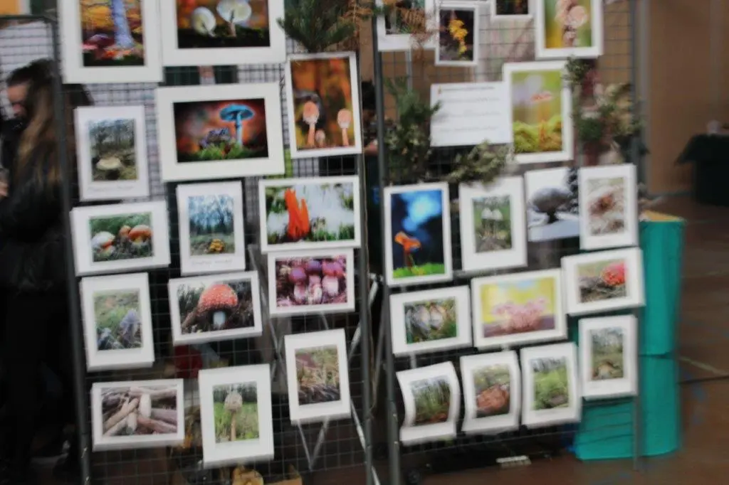 Micologica en San Leonardo (13)