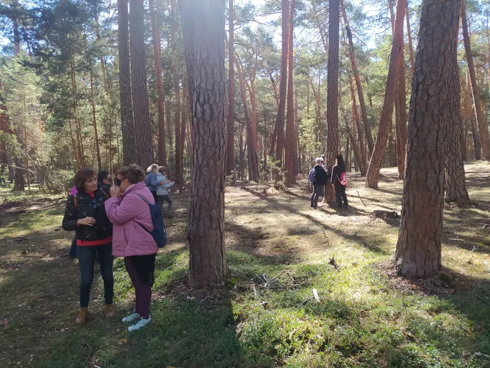 Micologica en San Leonardo 16