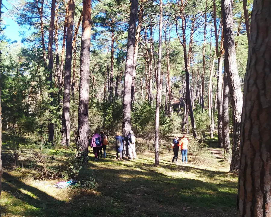 Micologica en San Leonardo 17