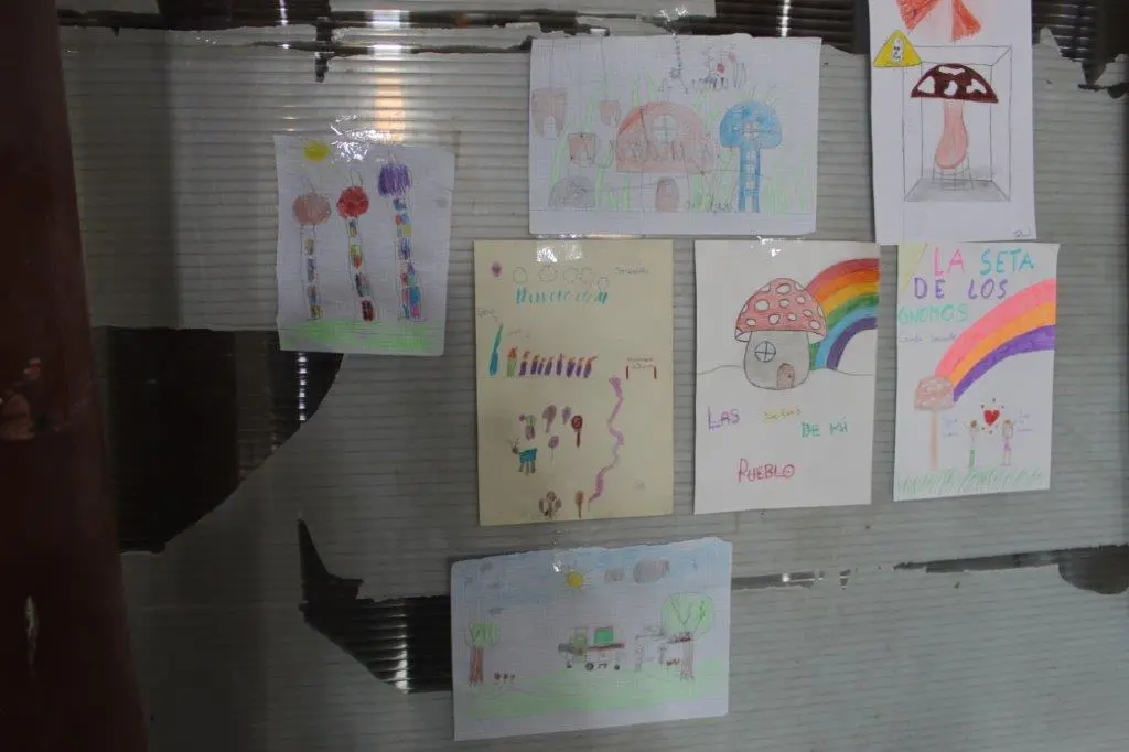 SETAS EN MONTENEGRO DE CAMEROS (7)