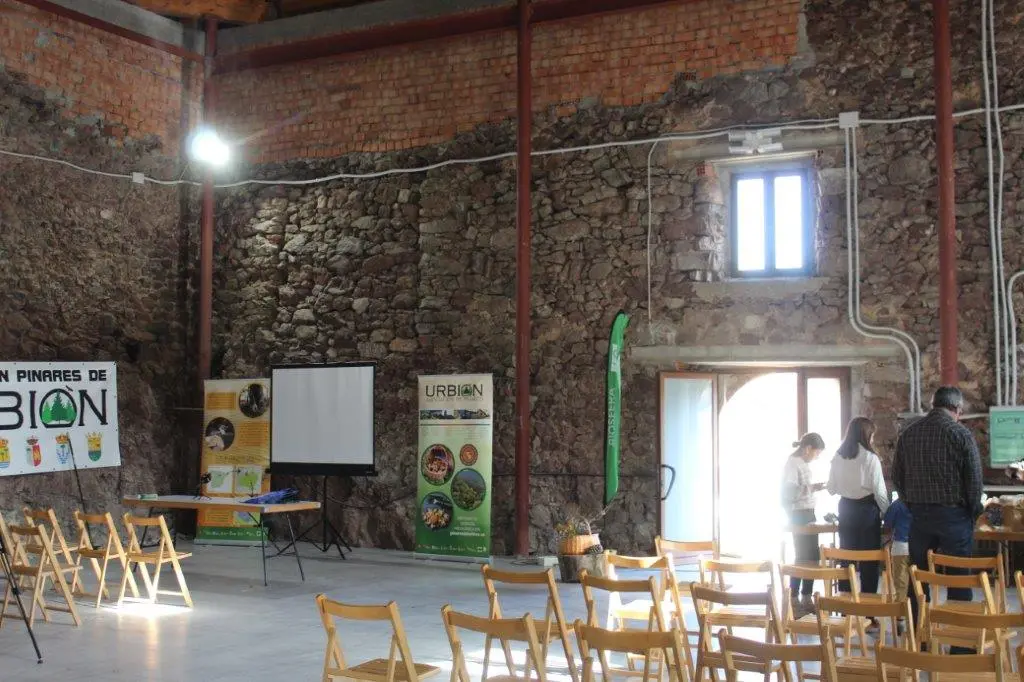 SETAS EN MONTENEGRO DE CAMEROS (10)