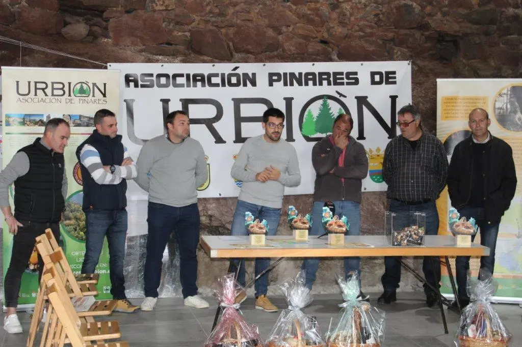 SETAS EN MONTENEGRO DE CAMEROS (17)