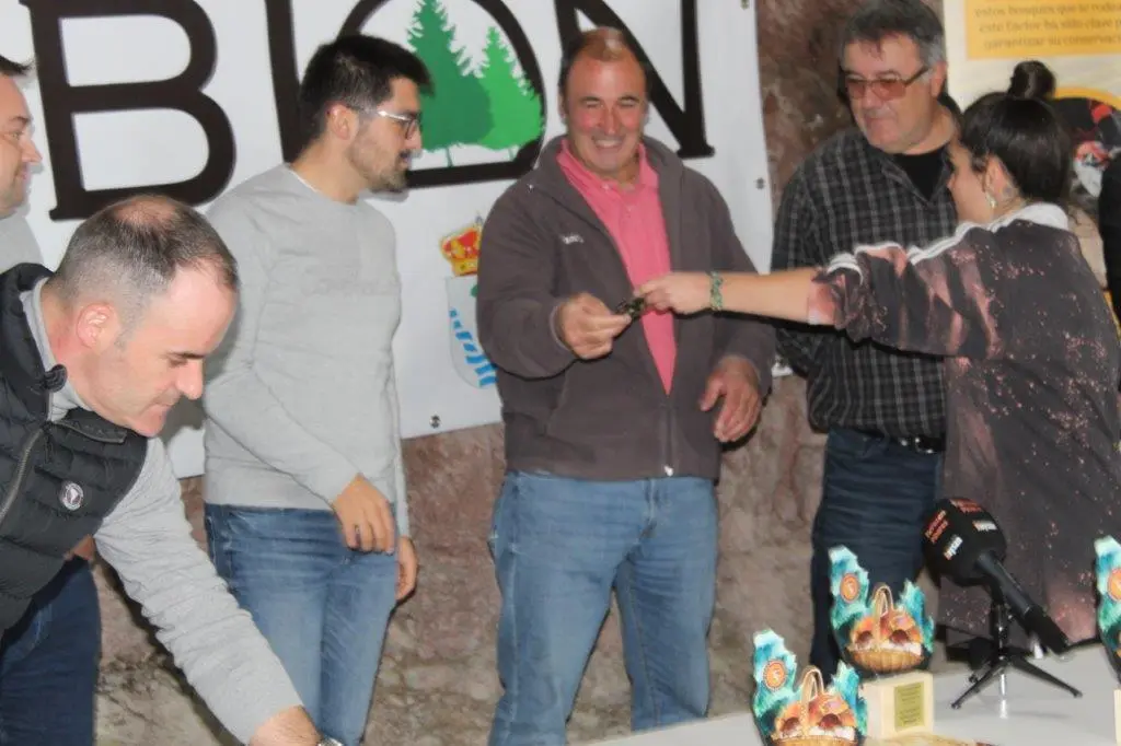 SETAS EN MONTENEGRO DE CAMEROS (21)