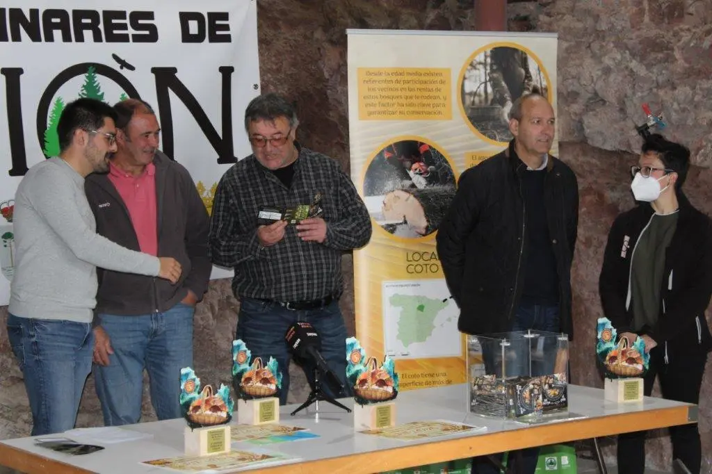 SETAS EN MONTENEGRO DE CAMEROS (22)