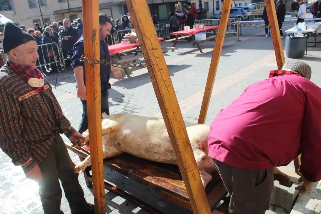 LA MATANZA EN NAVALENO 2023 (27)