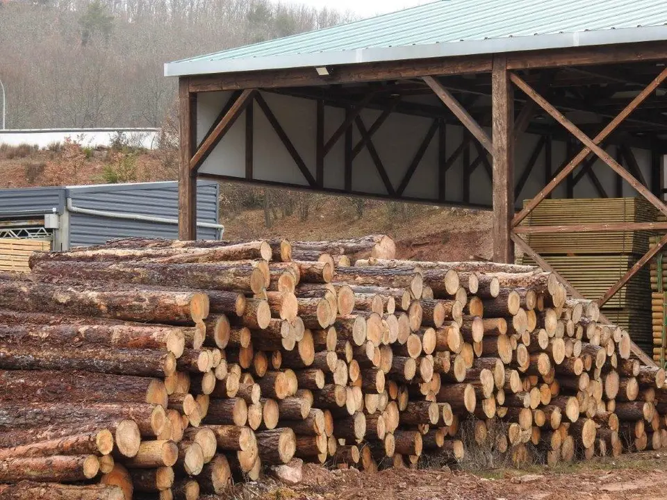VISITA YOLANDA A SAN LEONARDO (6)