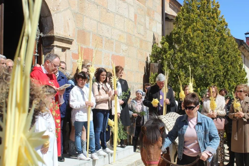 DOMINGO DE RAMOS EN NABALENO (1)