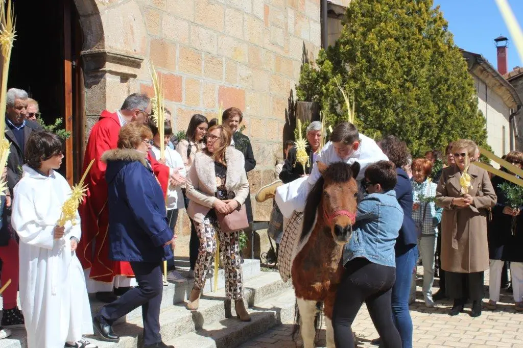 DOMINGO DE RAMOS EN NABALENO (2)