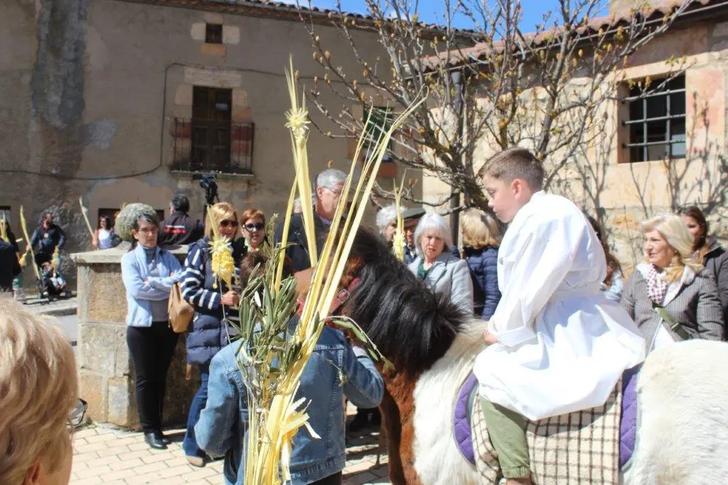DOMINGO DE RAMOS EN NABALENO (4)