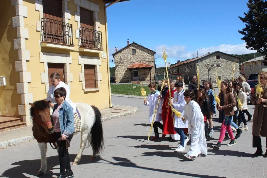 DOMINGO DE RAMOS EN NABALENO (6)