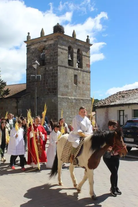 DOMINGO DE RAMOS EN NABALENO (7)