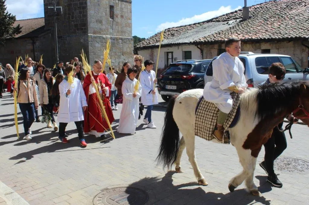 DOMINGO DE RAMOS EN NABALENO (8)