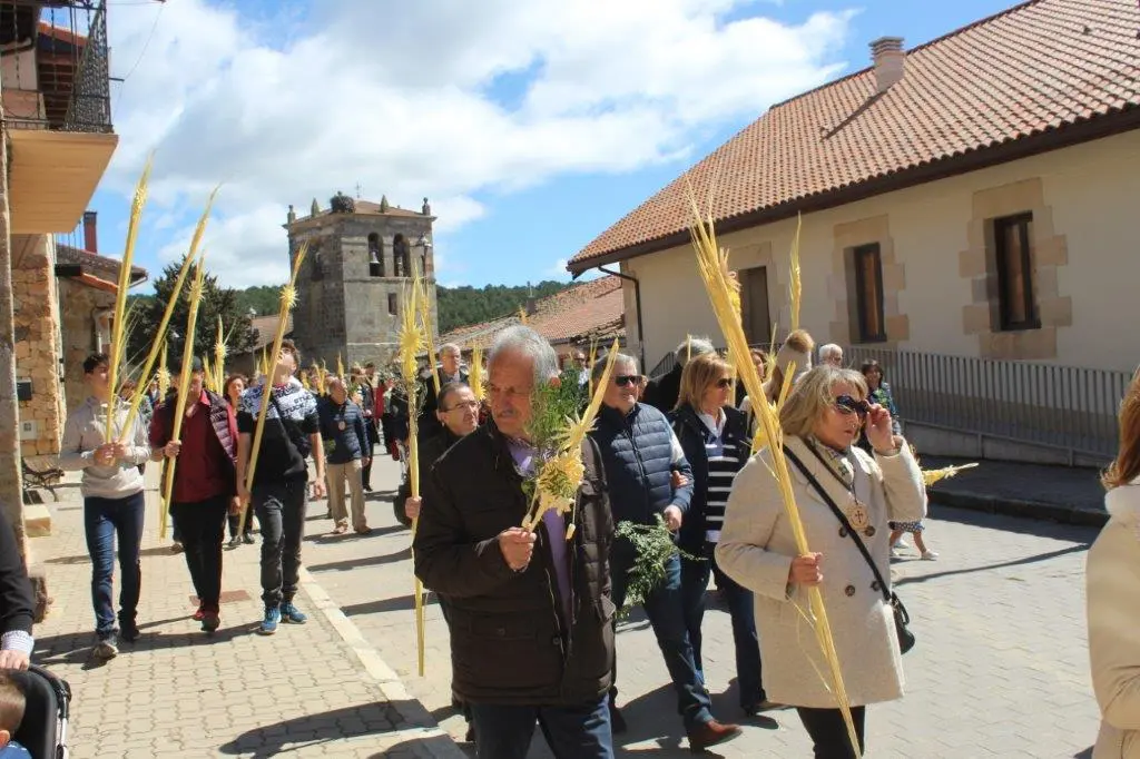 DOMINGO DE RAMOS EN NABALENO (12)