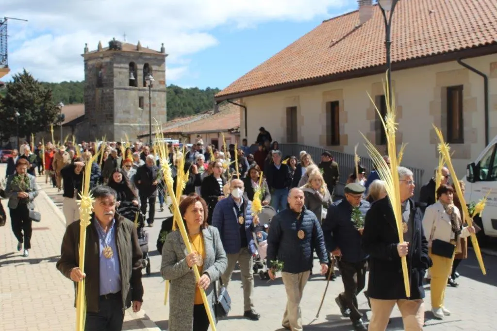 DOMINGO DE RAMOS EN NABALENO (14)