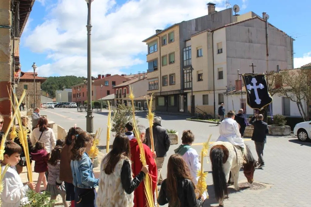 DOMINGO DE RAMOS EN NABALENO (15)