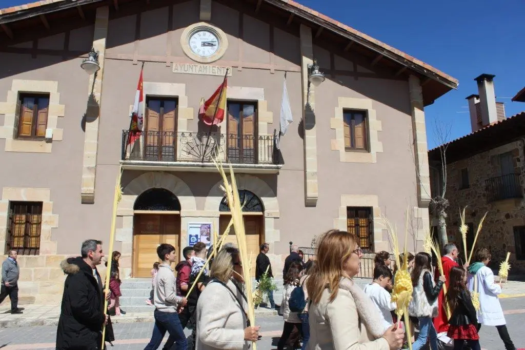 DOMINGO DE RAMOS EN NABALENO (17)