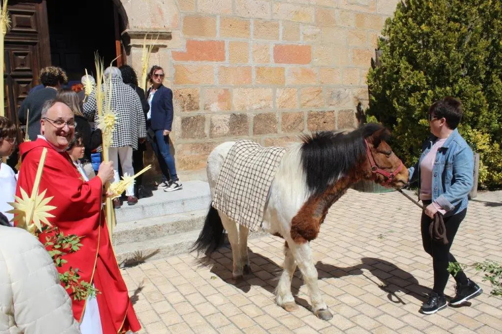 DOMINGO DE RAMOS EN NABALENO (20)