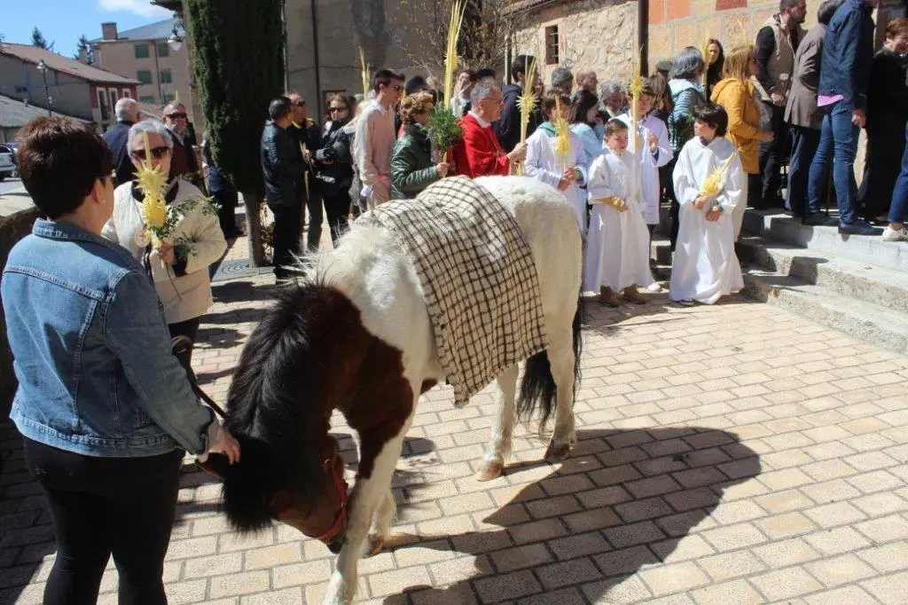 DOMINGO DE RAMOS EN NABALENO (22)