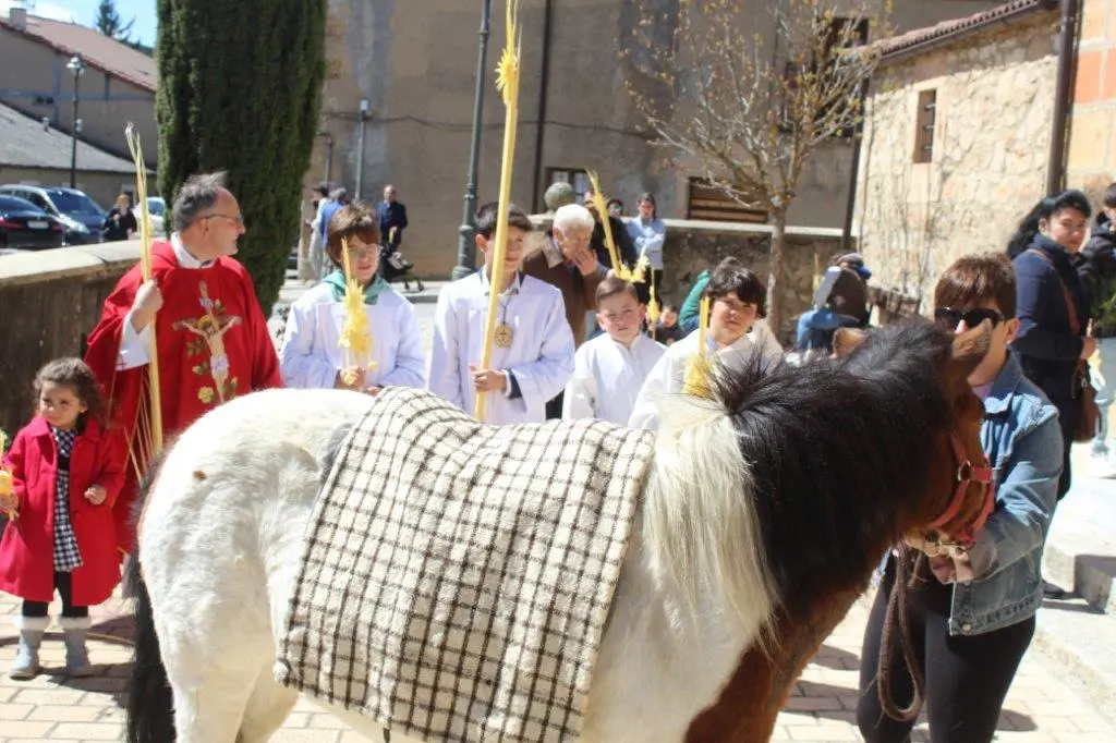 DOMINGO DE RAMOS EN NABALENO (25)