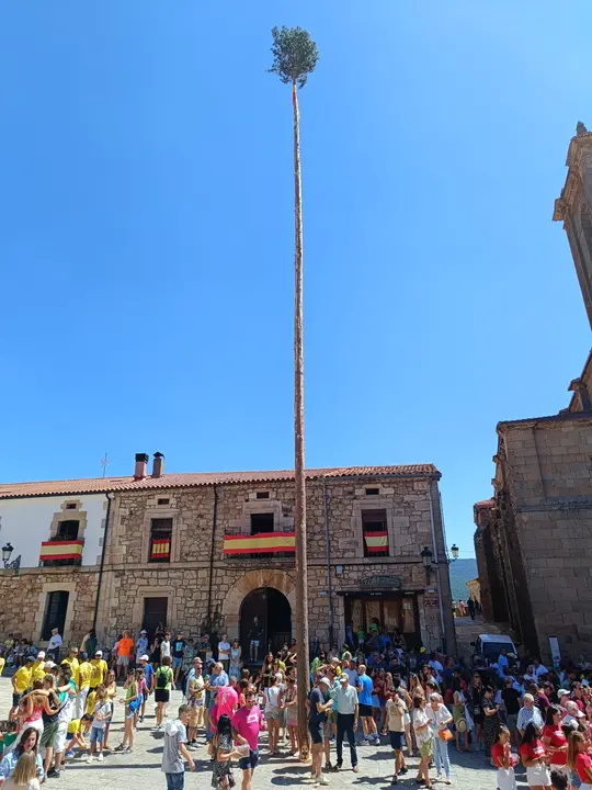pingada en Vinuesa (9)
