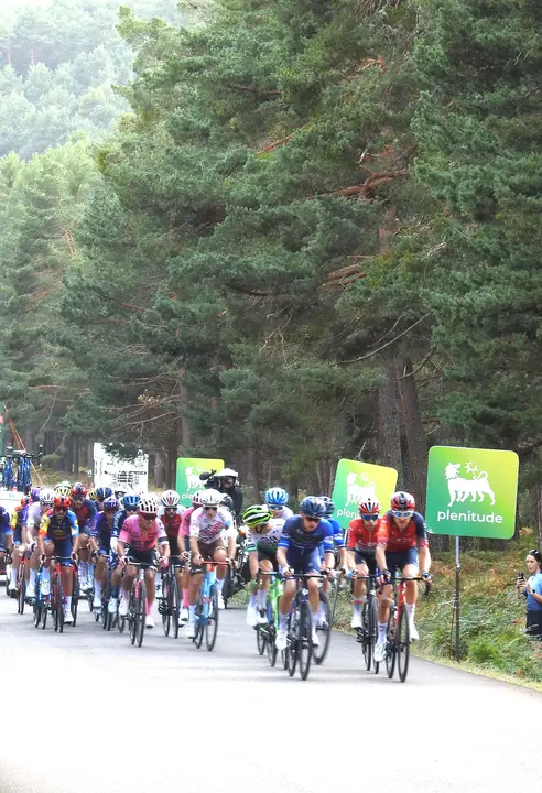 HACIA EL RASO DE LAS PINADAS (4)