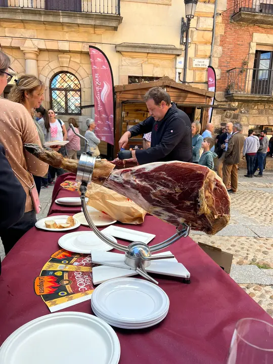 DÍA DE LA PROVINCIA EN VINUESA (21)