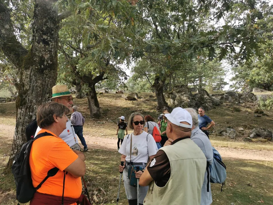 jornadas de silvicultura naval en Quintanar (1)