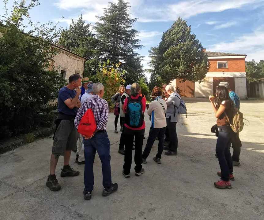 jornadas de silvicultura naval en Quintanar (4)