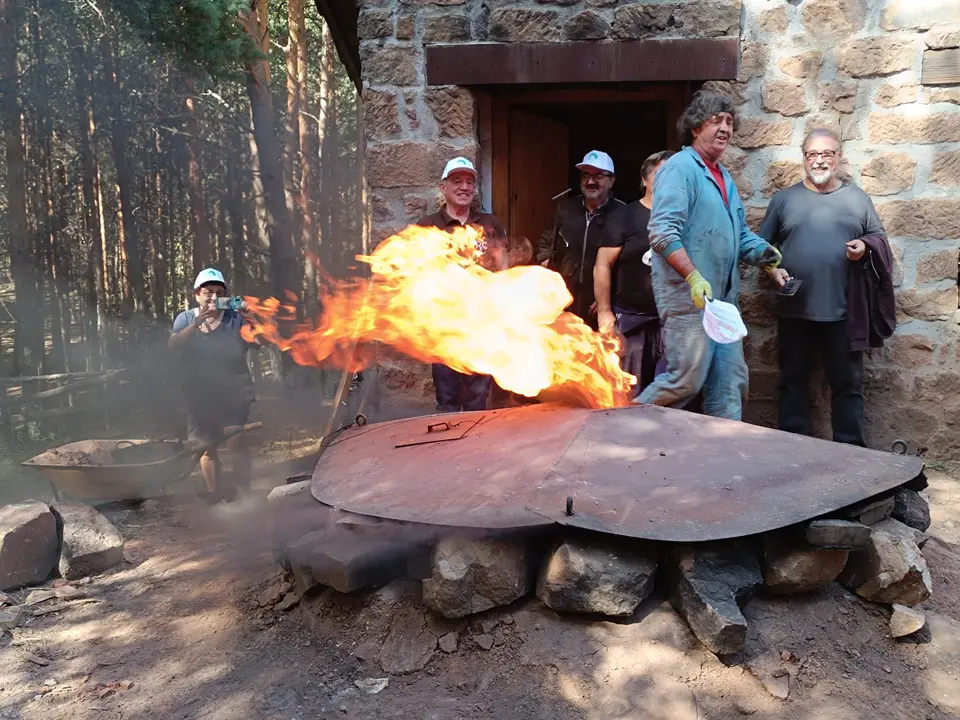 jornadas de silvicultura naval en Quintanar (9)