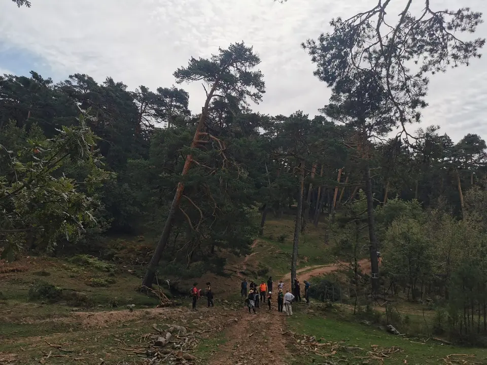 jornadas de silvicultura naval en Quintanar (15)