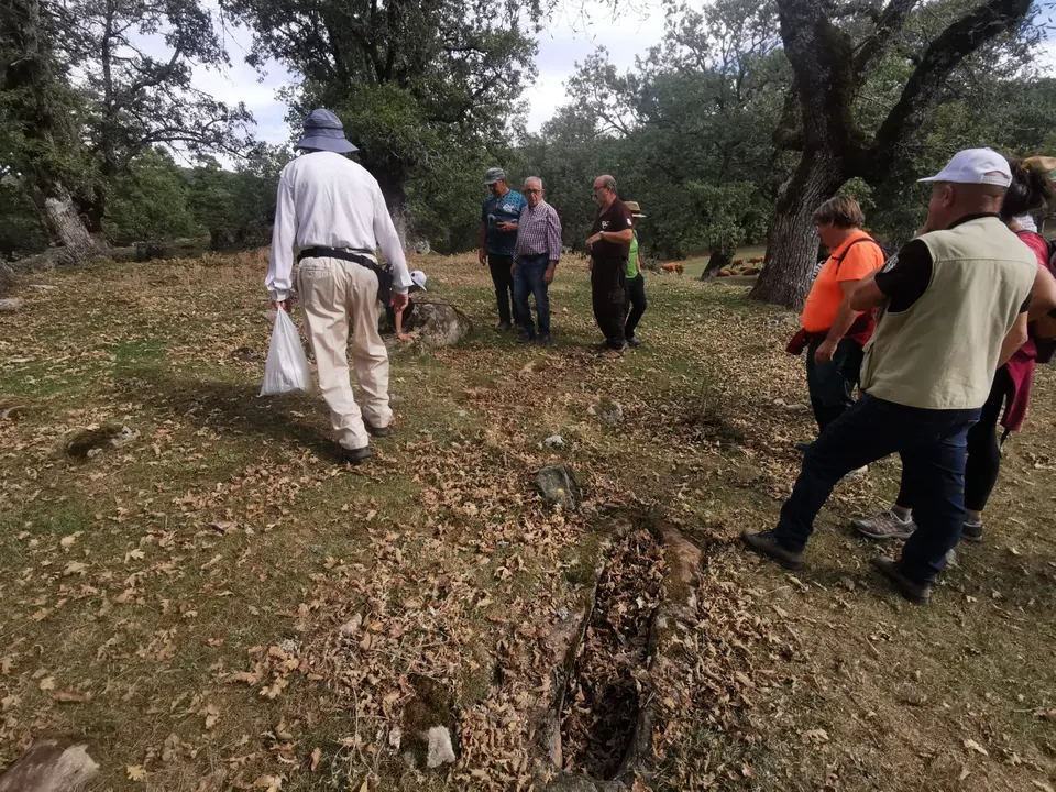 jornadas de silvicultura naval en Quintanar (18)