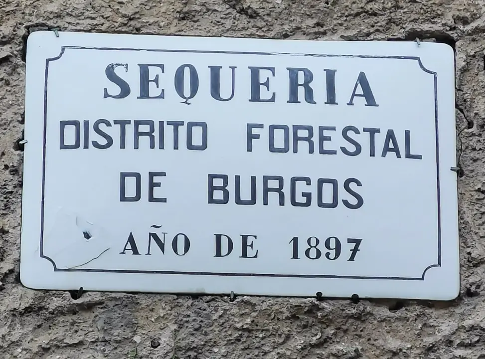 jornadas de silvicultura naval en Quintanar (19)