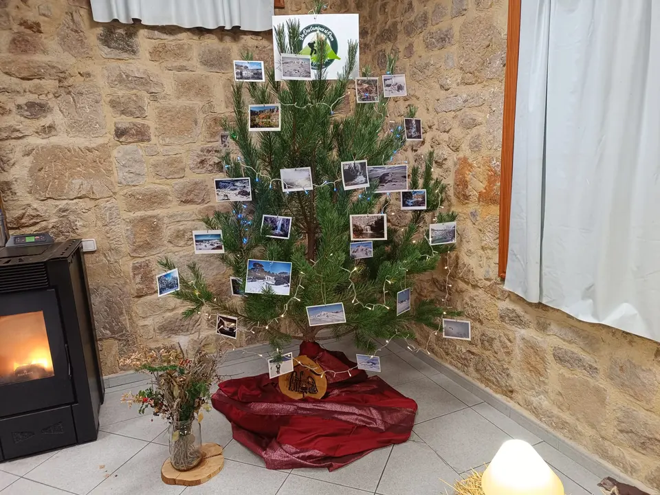 df2caed9-19fb-4c7c-aaad-d448b43a092b