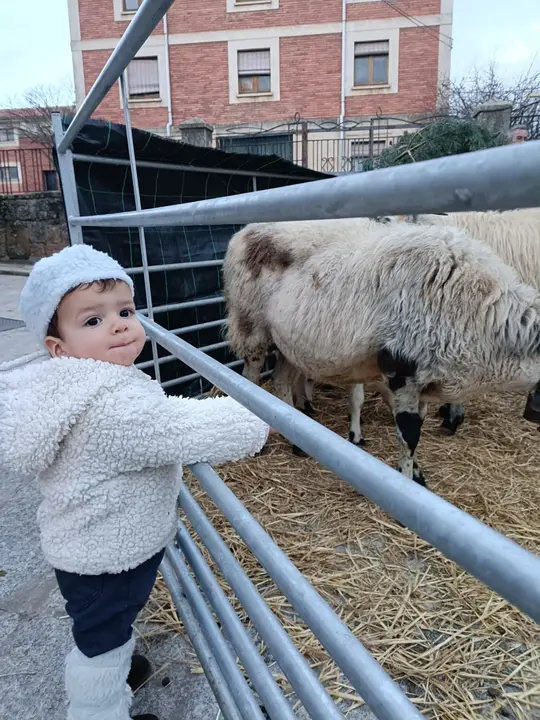 64db11a3-06c5-461b-8774-27c5313a851d