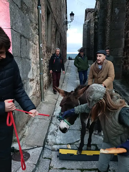 0386b764-1b11-48a3-a3cf-9fe196e3ba59